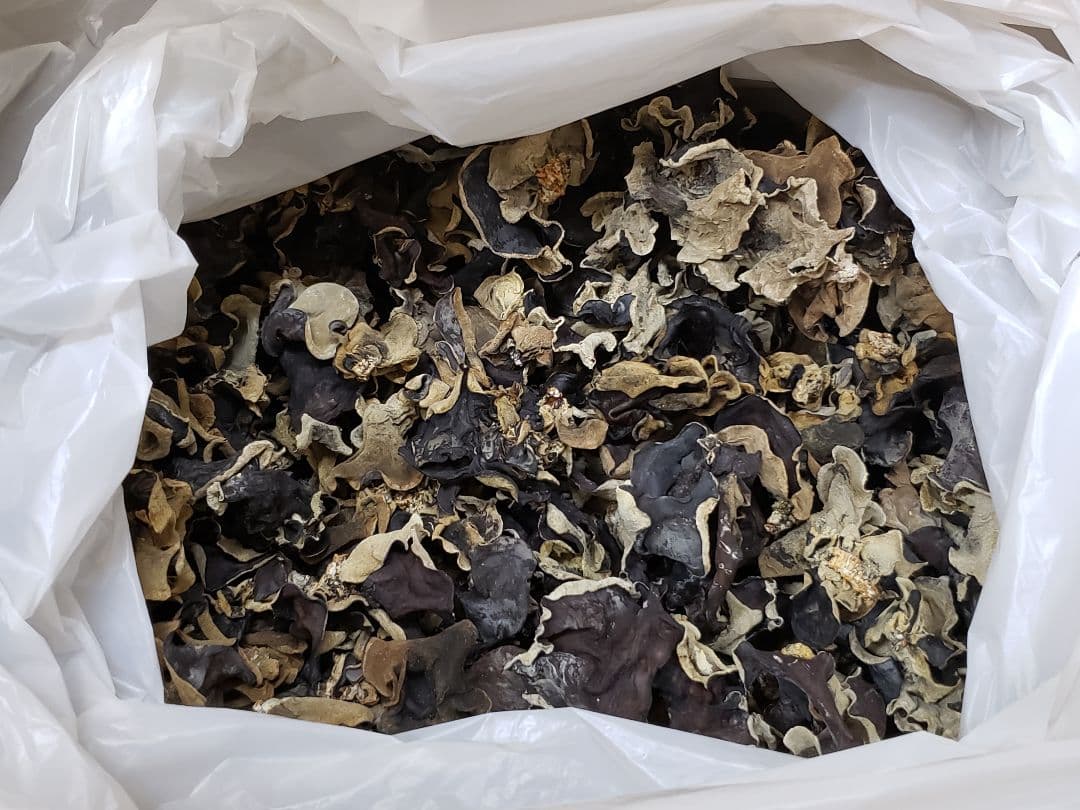 乾燥きくらげ/1kg/国産/高品質/群馬県みなかみ町産