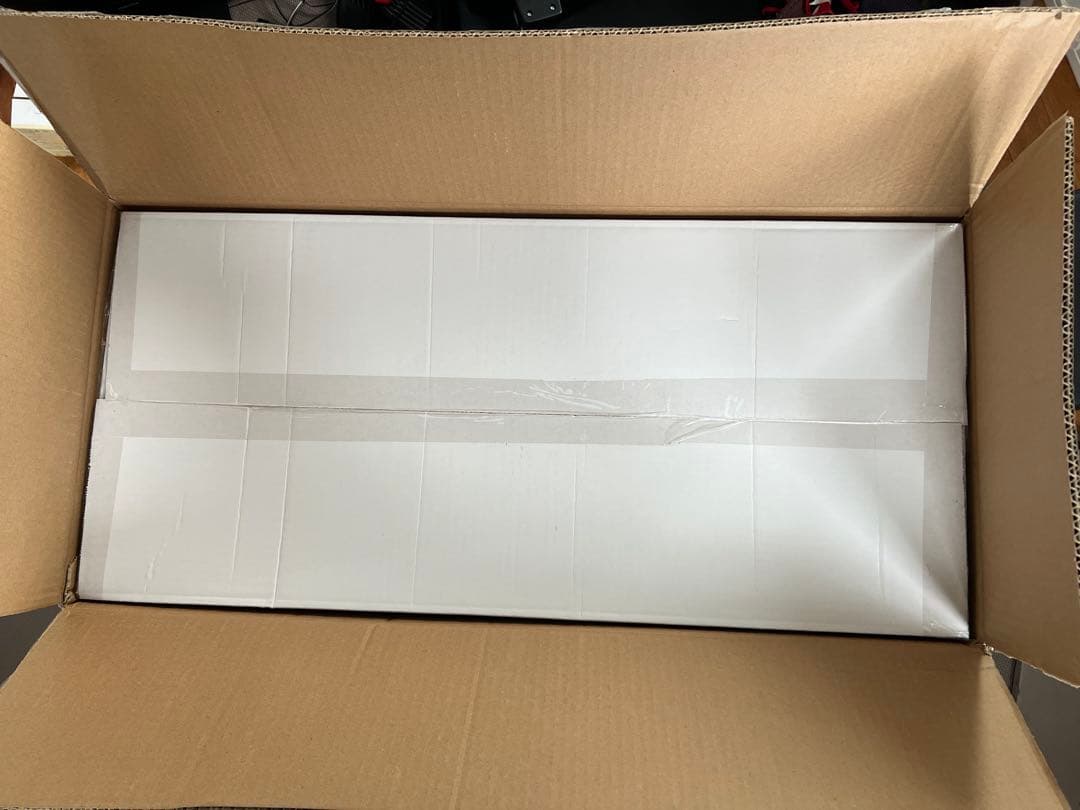 サバティカル モーニンググローリーTC