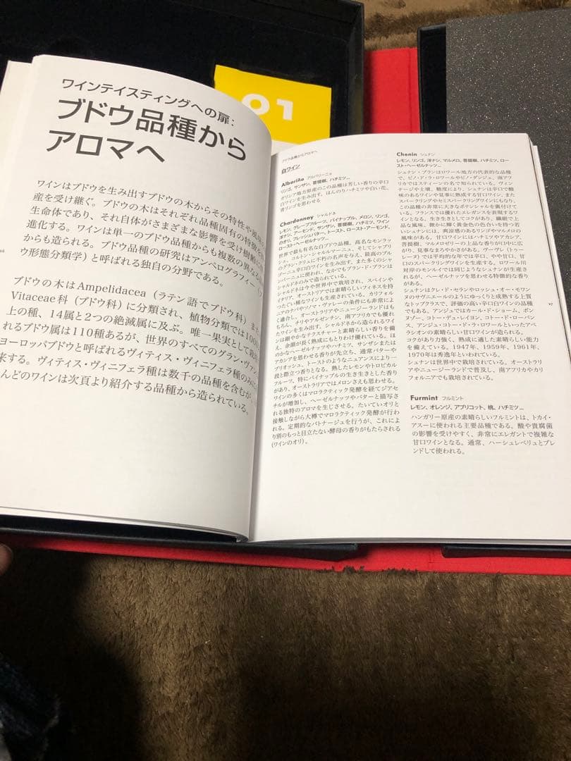 Le Nez du Vin (ルネデュヴァン) ワインの香りのサンプル54種