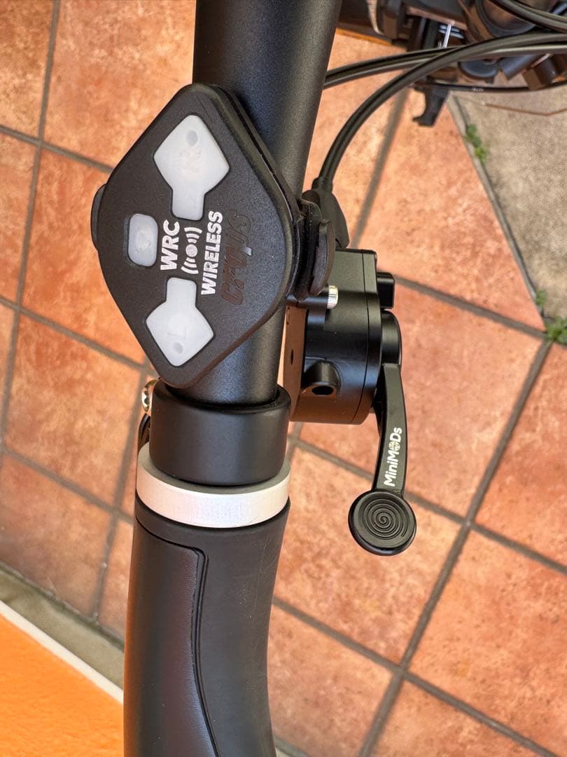 BROMPTON C Line SL2 フレイムラッカー カスタム外装5速