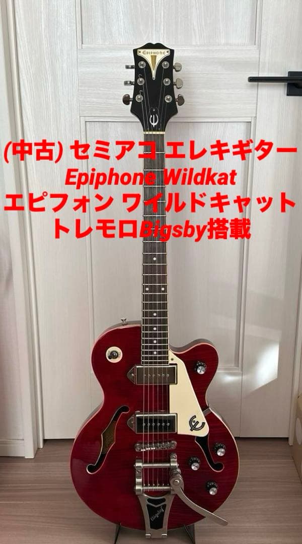 セミアコEpiphone Wildkat ビグズビー搭載 ワイルドキャット