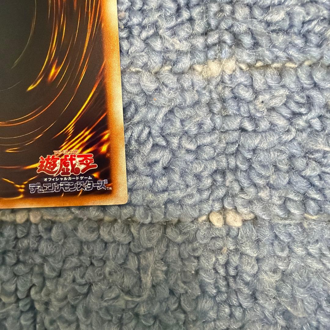 ホーリー・エルフ