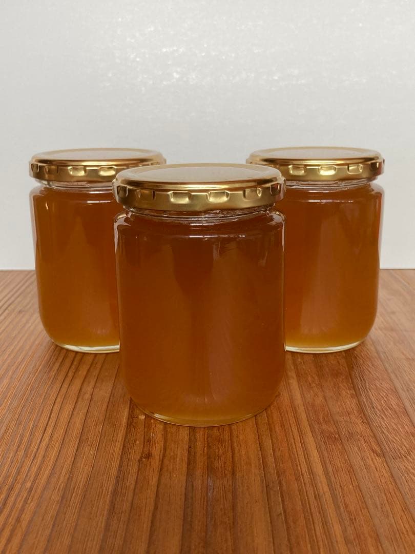 日本ミツバチのハチミツ　たれ蜜　300g×3個❣️送料込‼️ ¥8,640