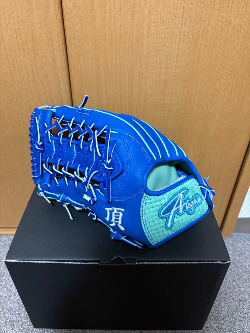 アレグリア軟式オーダー外野用　左投