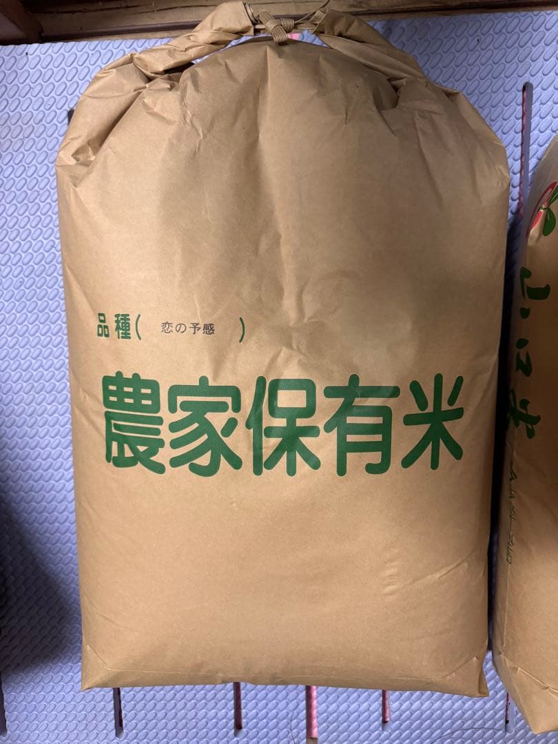 令和7年度産　恋の予感　30キロ入り　玄米