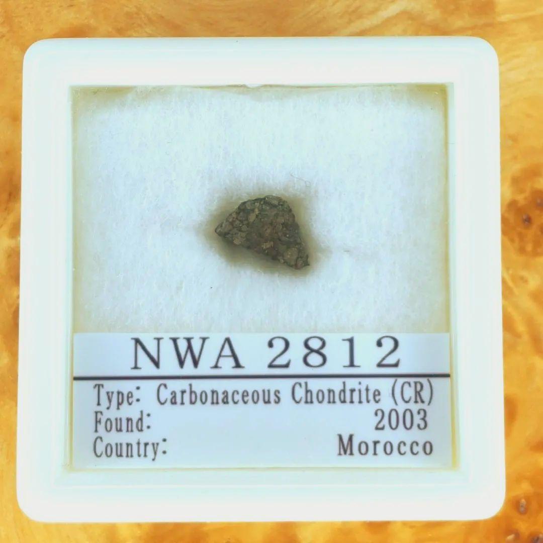綺麗な炭素質コンドリュール NWA2812隕石標本