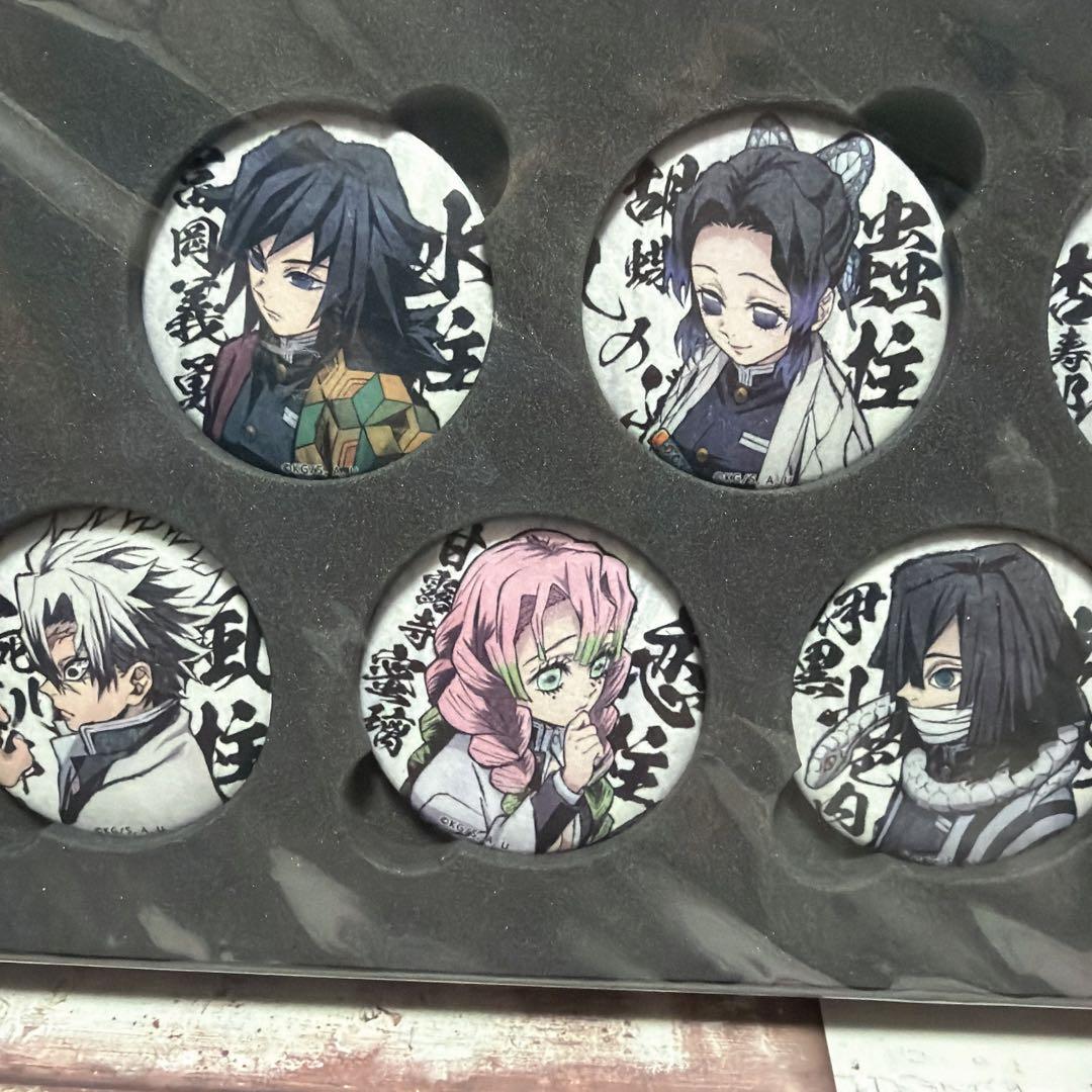 鬼滅の刃 柱合会議編 蝶屋敷編 缶バッジセット