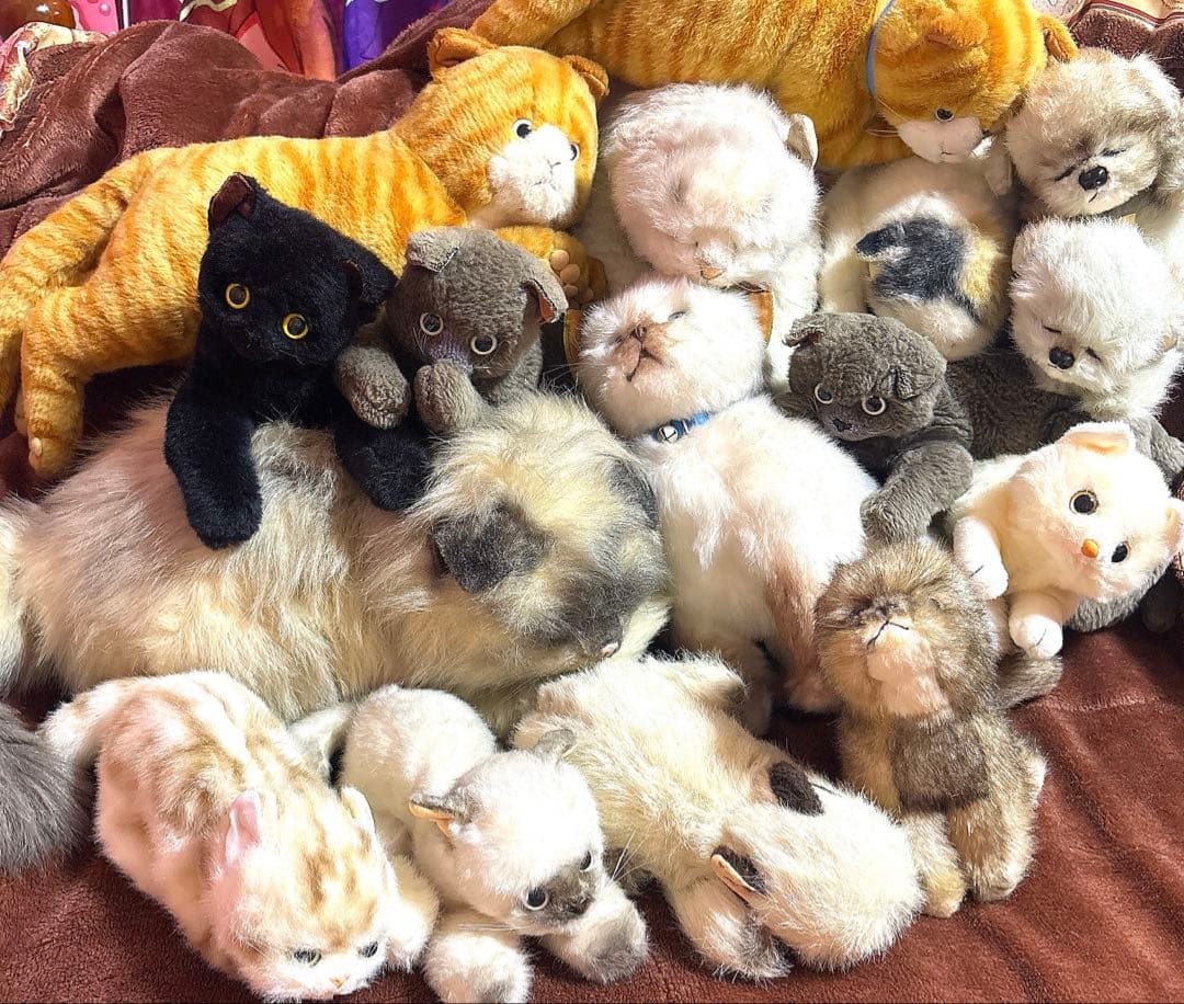 【大量】寝そべりたくさん猫＋αぬいぐるみセット【まとめ売り】