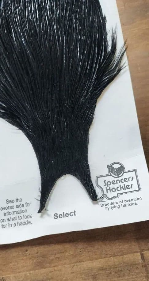 METZグリズリー＆Spencer’s Hacklesセット フライ用ハックル