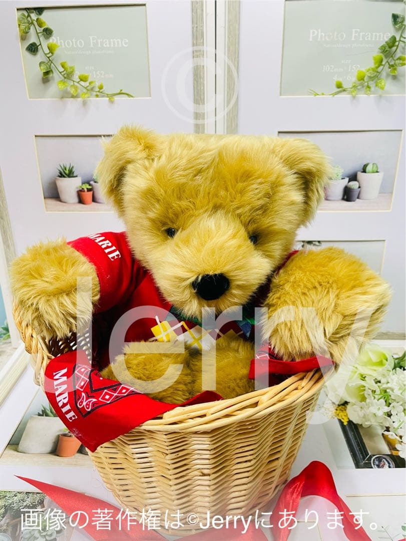 ノースアメリカンベア: MORINAGA MARIE [Ruggles]