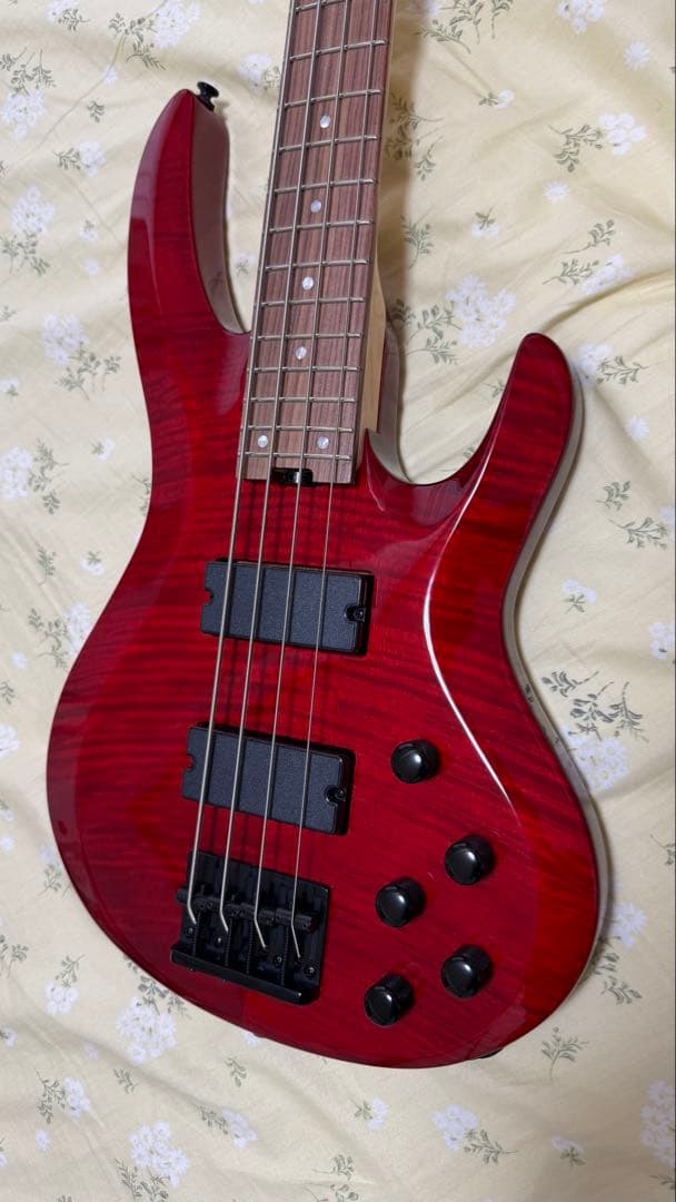 ESP BanG Dream! ROSELIA LISA 今井リサモデル