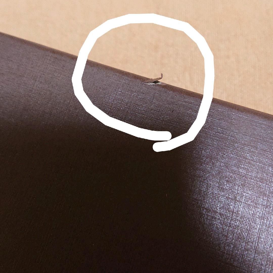 ルイヴィトン エピ  アジェンダ タイガ・ライン