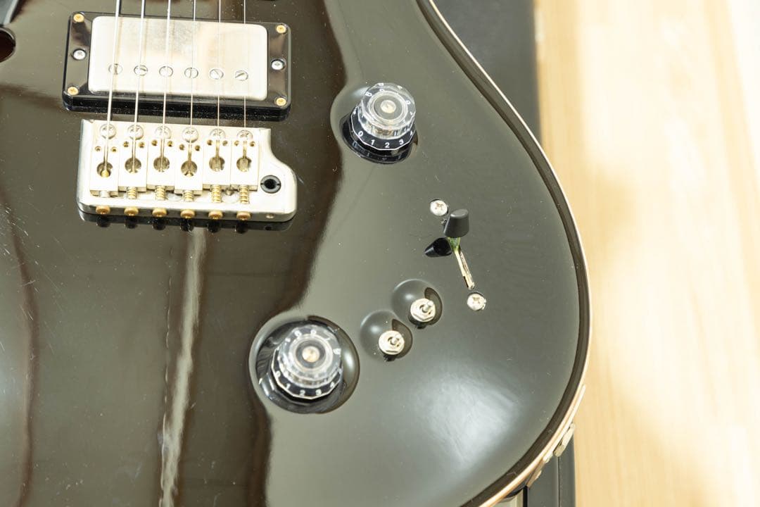 ギター PRS SPECIAL 22 SEMI-HOLLOW (2023)