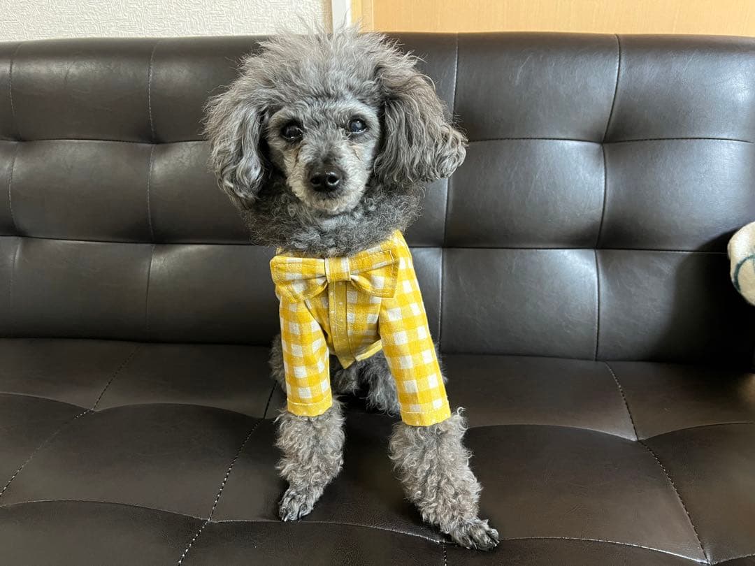 犬服・アクセサリー OINUSAMA