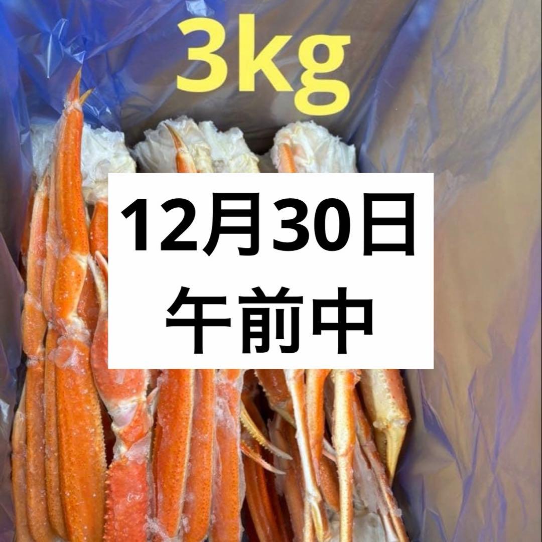 【12月30日午前中】みあ　3キロ