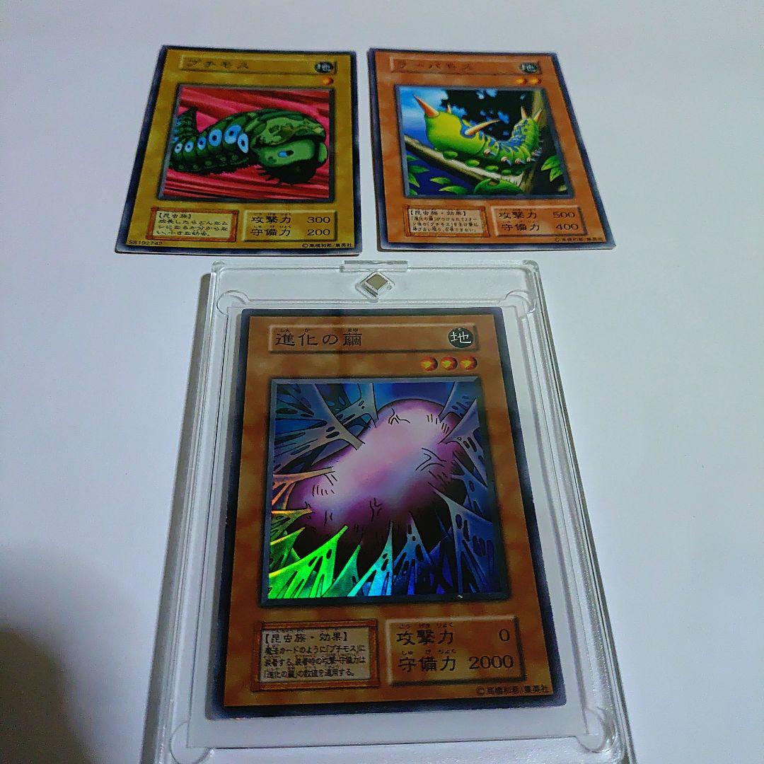 初期の進化の繭セット