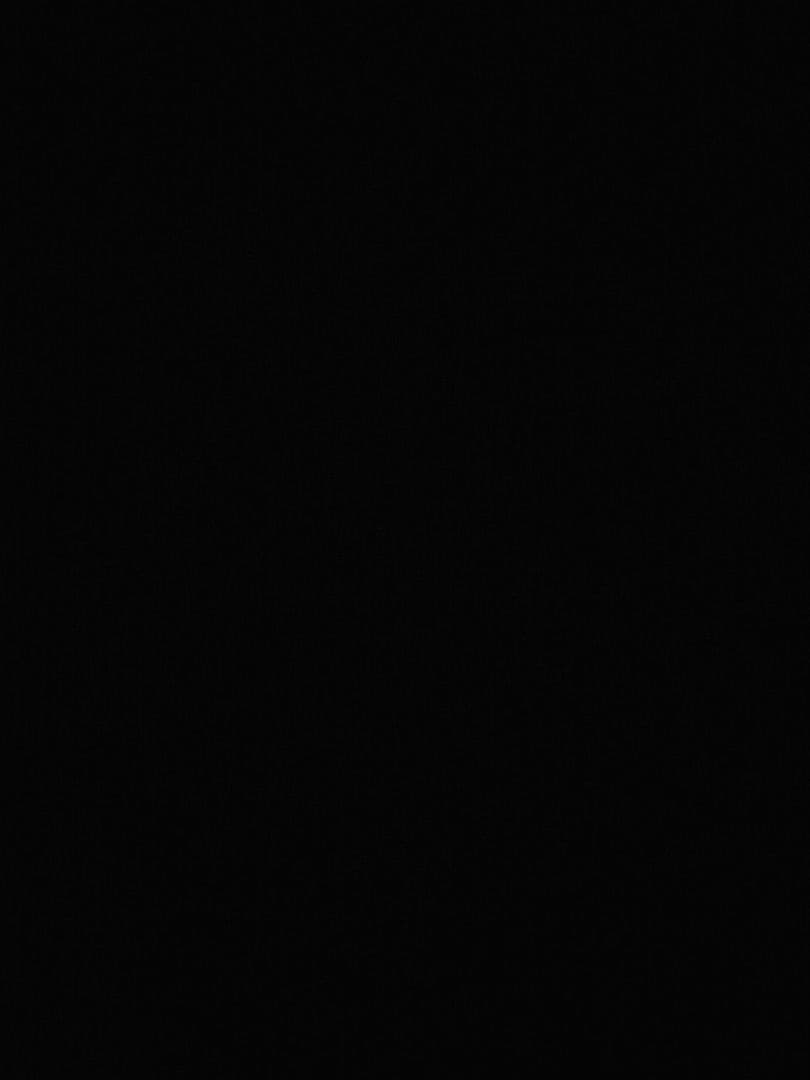 セイバーヴァルキリー