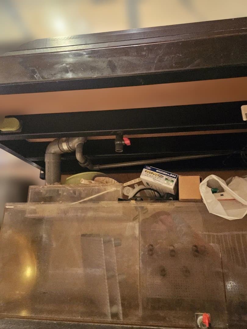 大型オーバーフロー水槽