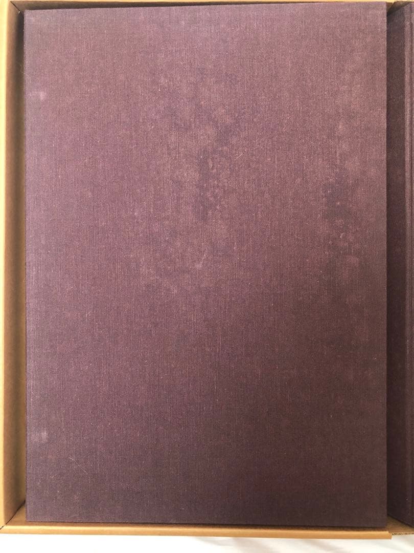 リン・スターム・レヴィ画集 相撲の世界