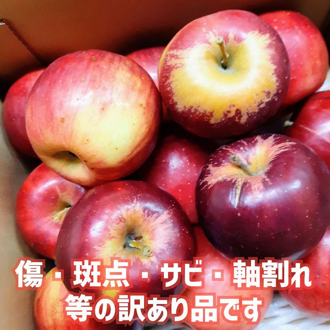 お買い得！訳ありりんご『紅玉』ミニ玉 箱込約10キロ×2箱 山形直送葉とらず栽培