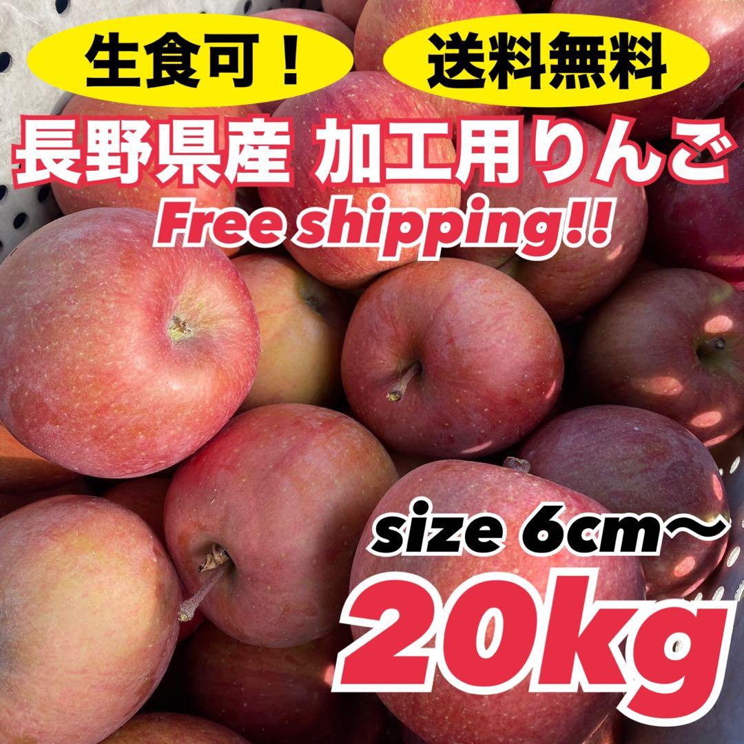 長野県産 加工用りんご 摘果りんご サンふじ 20kg 大量 スムージーに 1