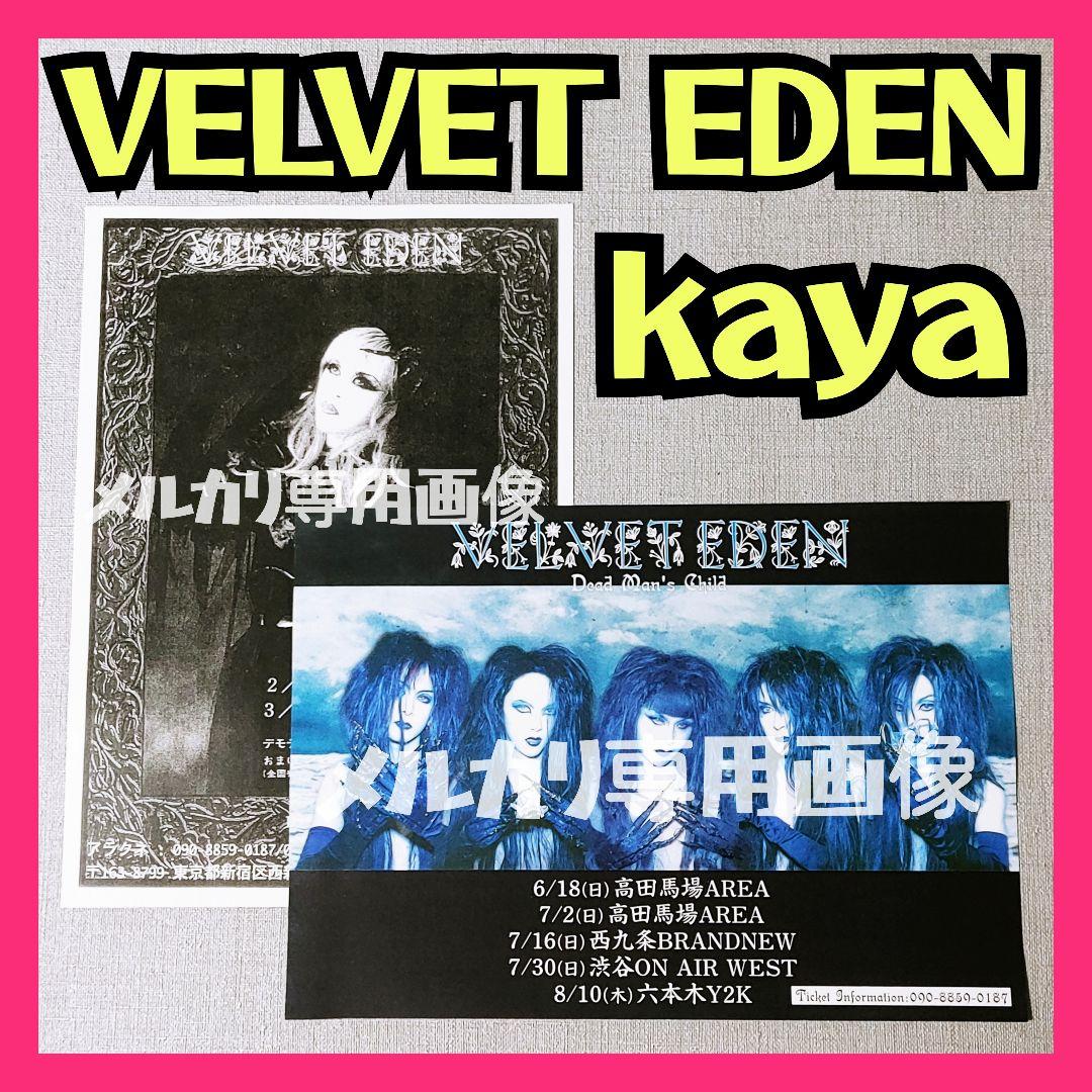 VELVET EDENフライヤー Kaya Schwarz Stein DADA