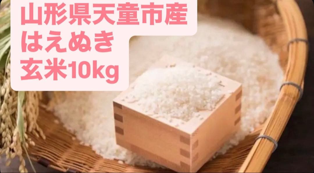 ♡はえぬき♡山形県天童産♡玄米10kg