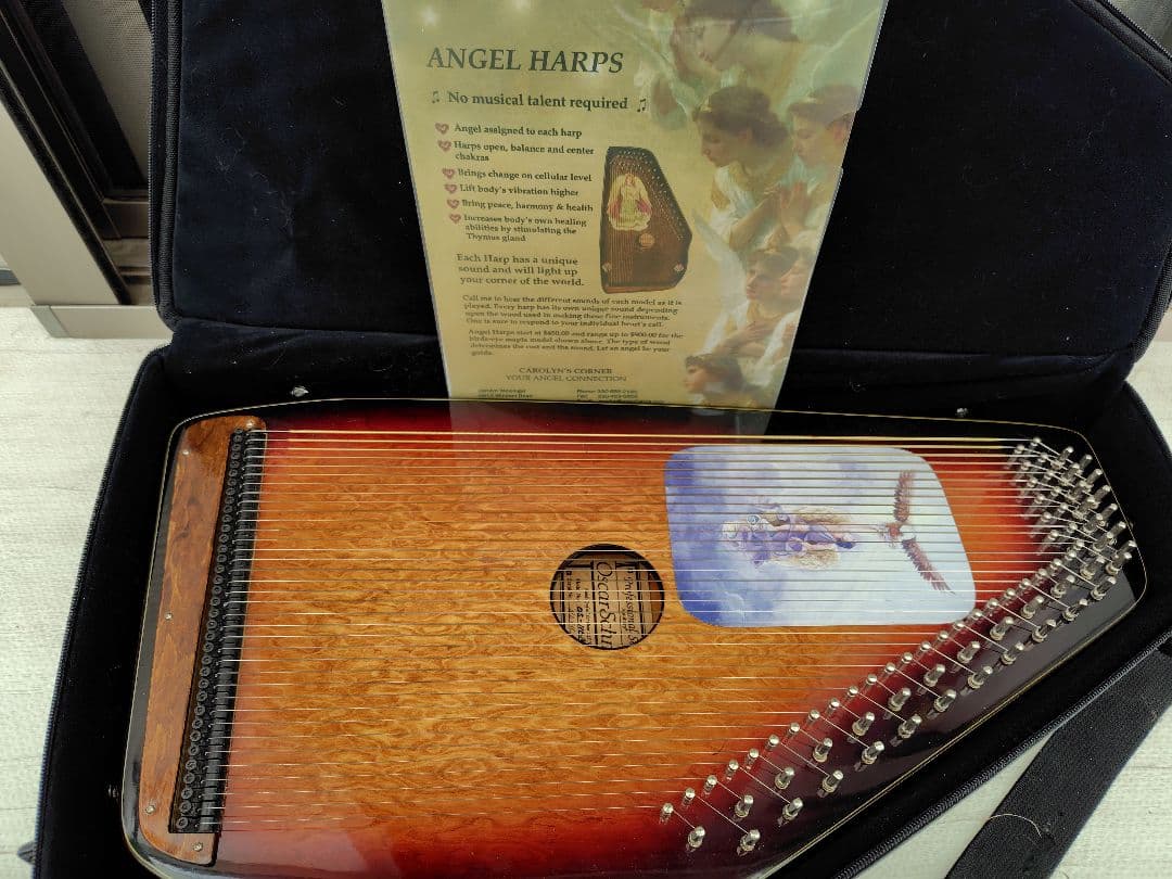 Oscar Schmidt ハープ ケース付き