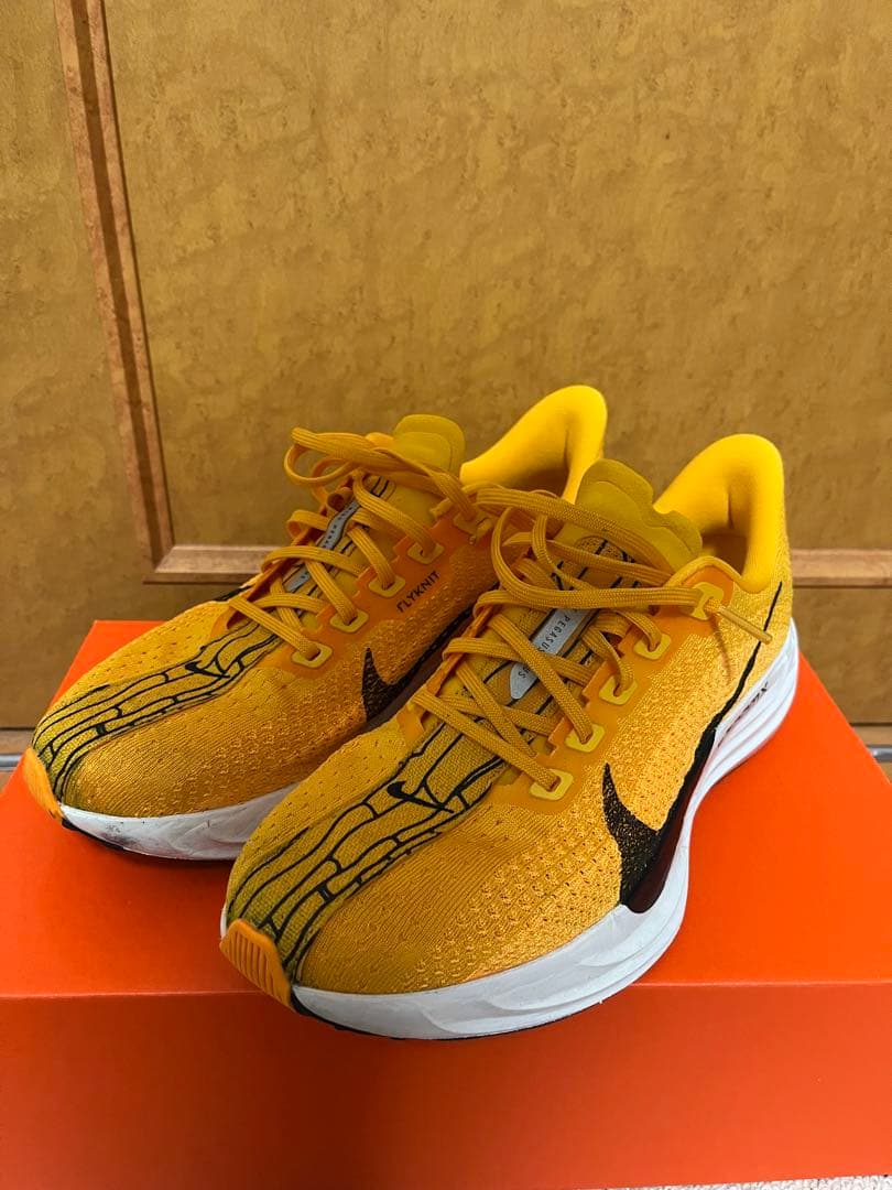 『翌日発送』NIKE ペガサスプラス 26