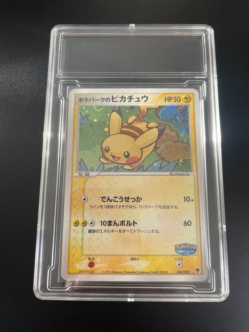 ハ*ス様 ポケパークのピカチュウ 004/009