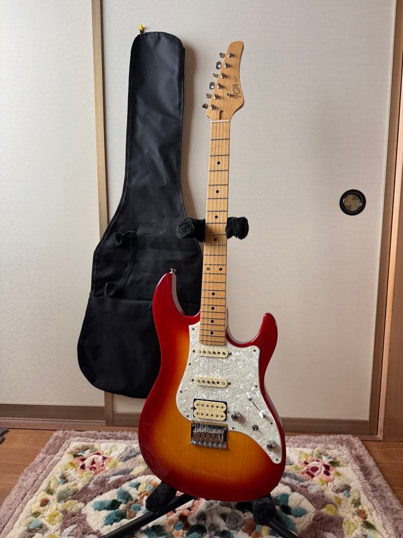 ギター FGN BOS2-M