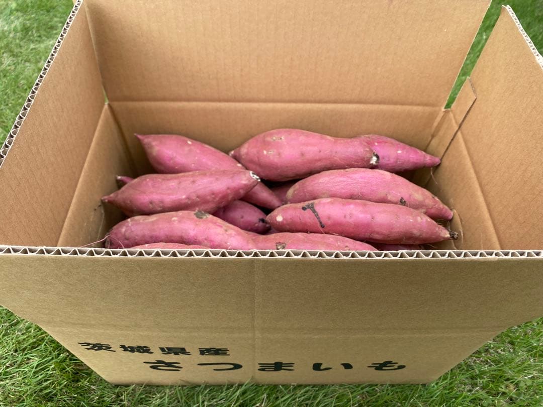 茨城県産紅はるかS50キロ　おでこのでこ品