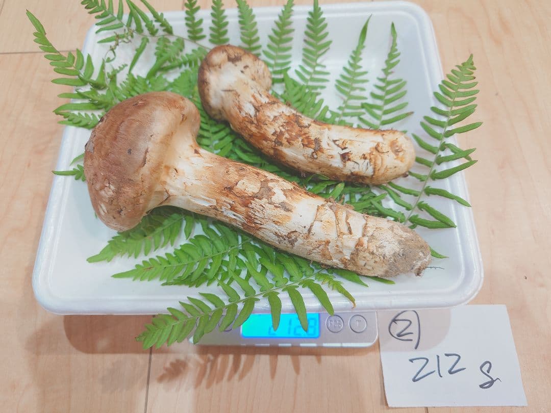 岩手県岩泉産　松茸（天然物）212g②