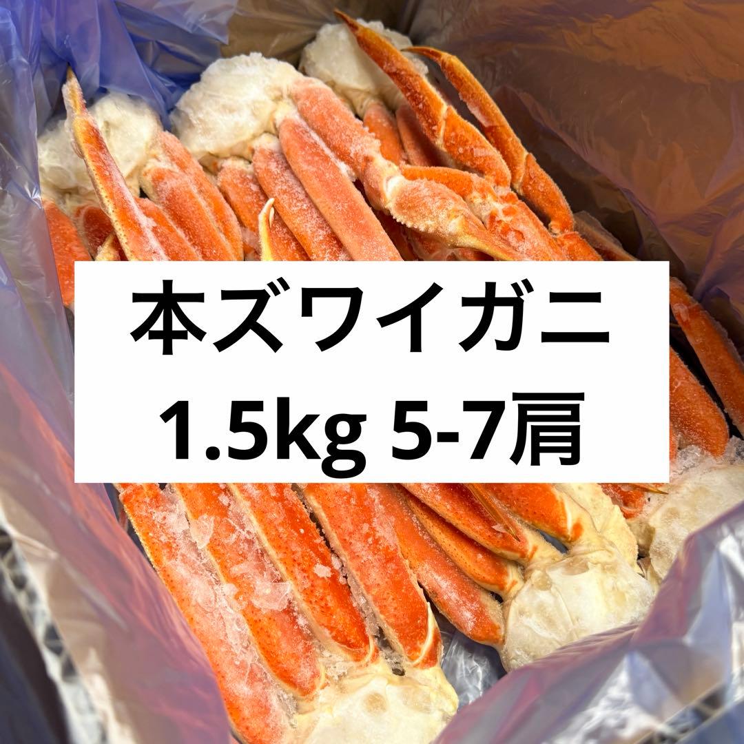 【年末分予約受付中】冷凍茹で本ズワイ蟹 カニ 1.5kg 5~7肩