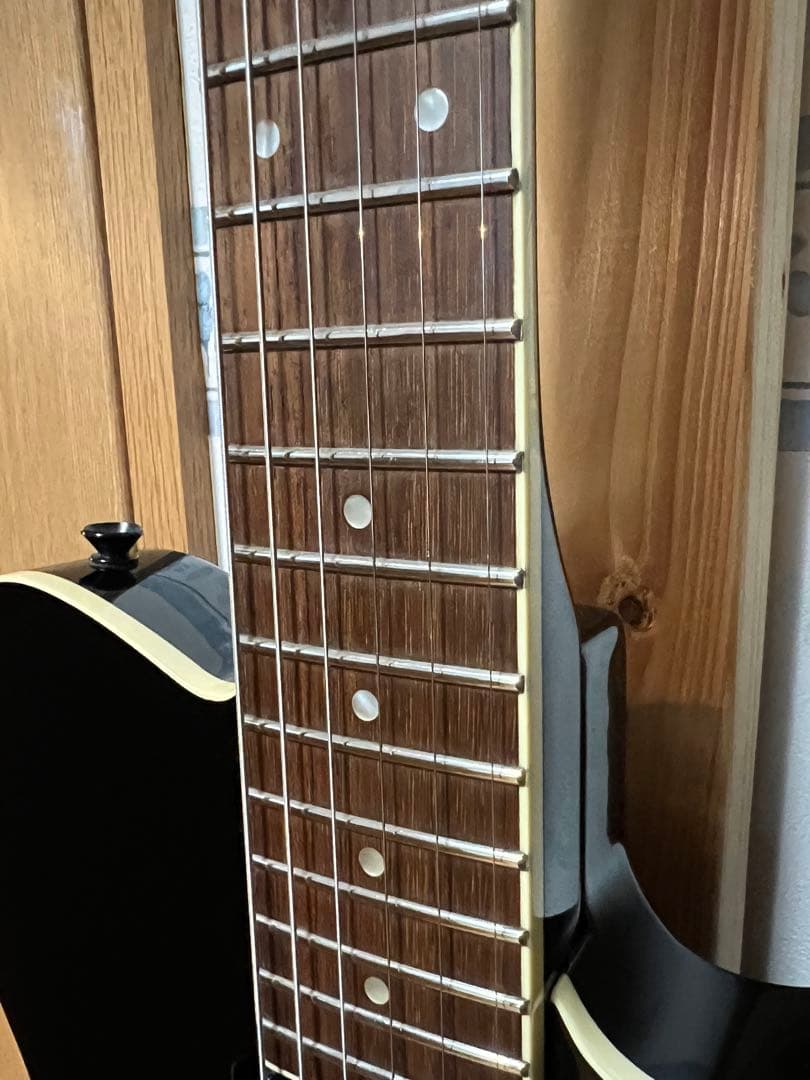 ギター FERNANDES TEJ-STD 2S