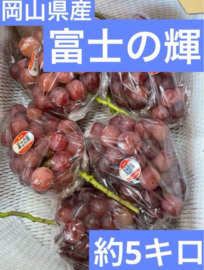 13【岡山県産】富士の輝　約5キロ