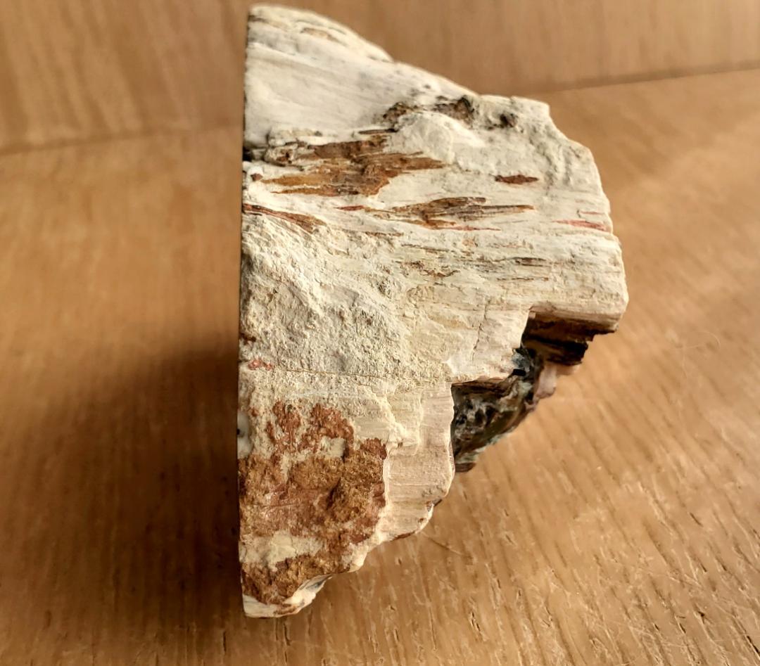 【コレクターズアイテム】オパライズドウッド／クリソコラ