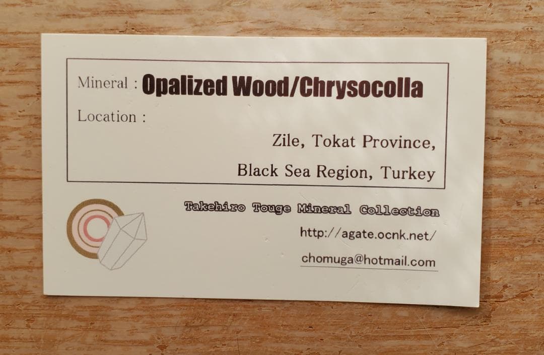 【コレクターズアイテム】オパライズドウッド／クリソコラ