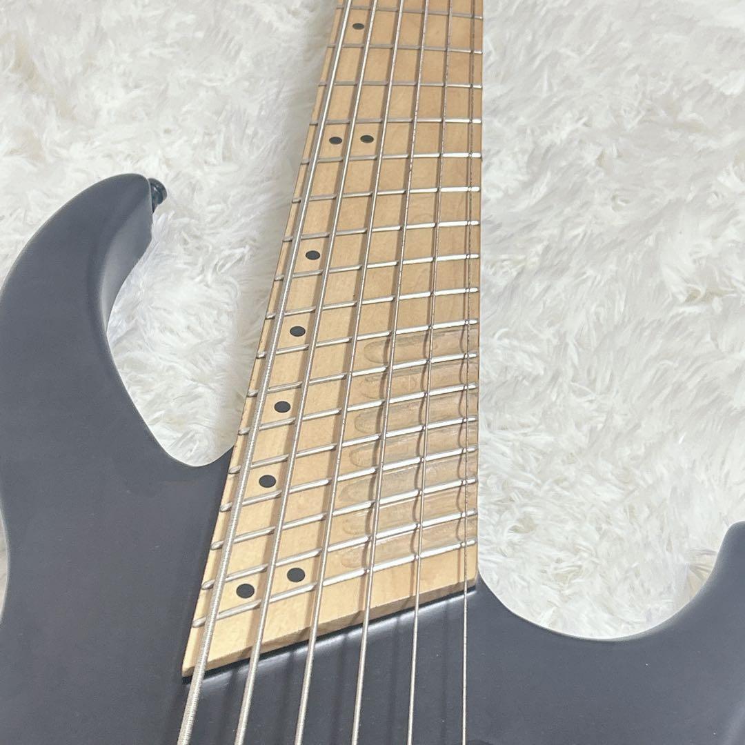 希少　6弦ベース　ベース　6弦 iyv オーダー　カスタム