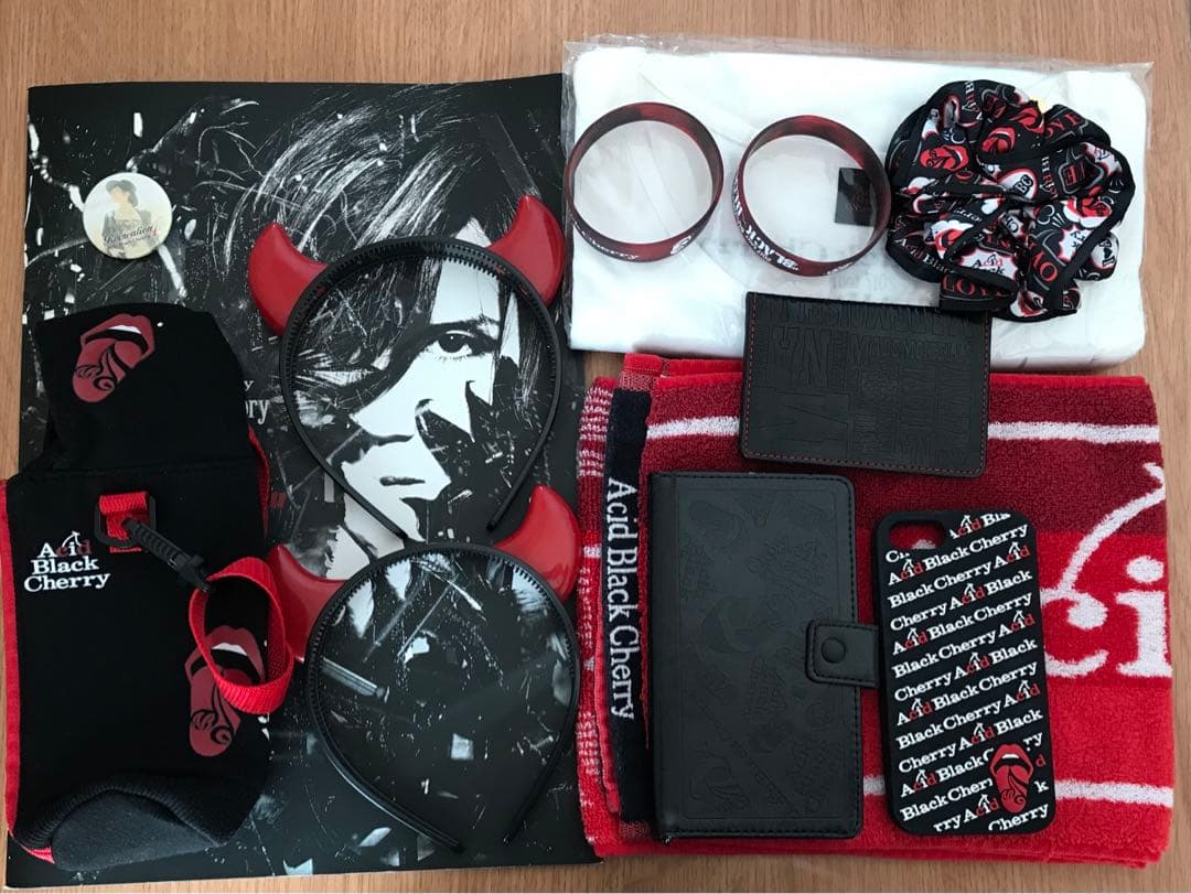 【美品、匿名配送】Acid Black Cherry ライブグッズ等13点セット