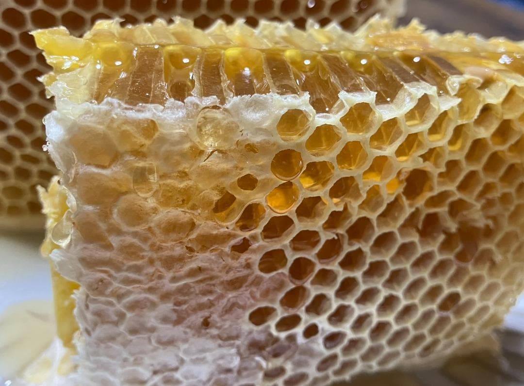 【令7】百花蜜 1000g 2本 長野県産 国産蜂蜜 生はちみつ 西洋蜜蜂z