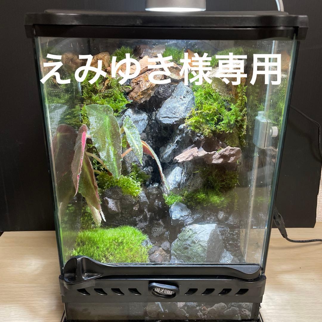 【えみゆき】大きな滝のあるアクアテラリウム