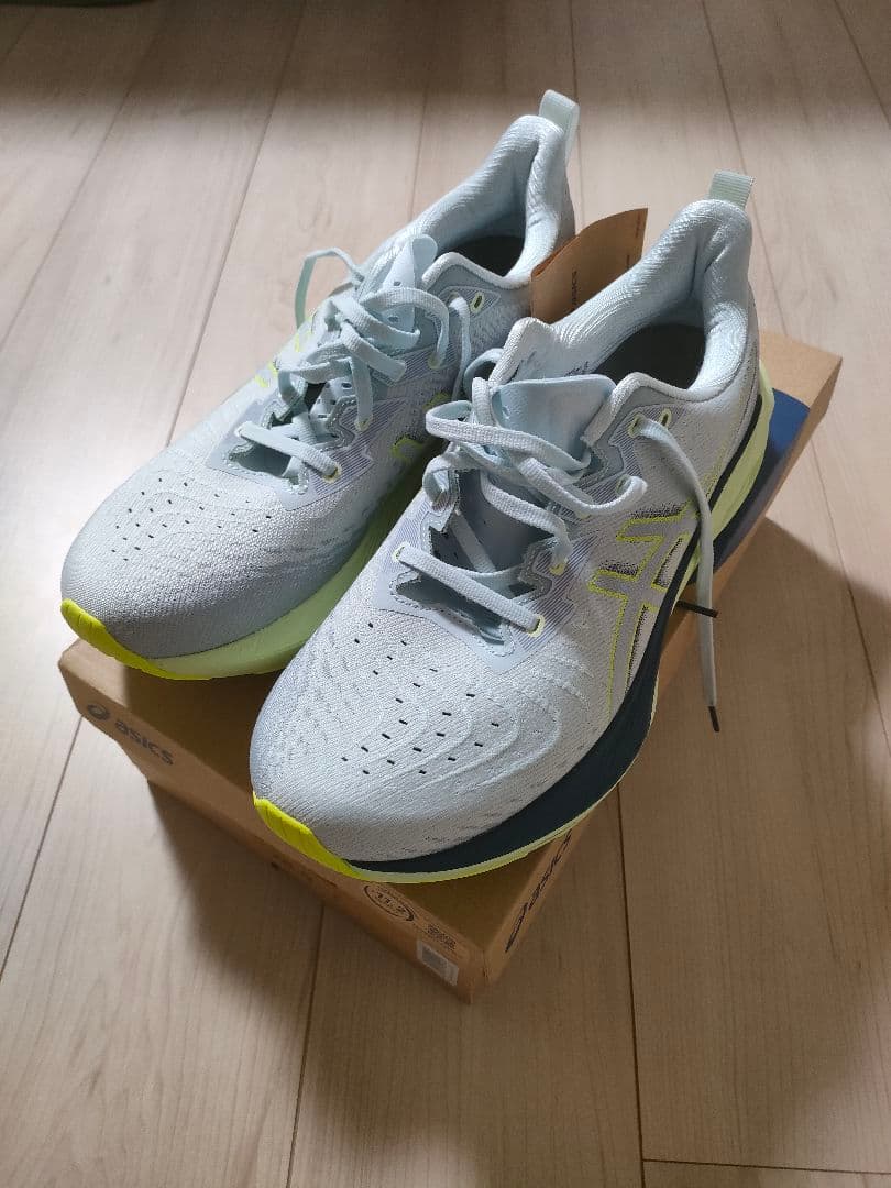 ASICS NOVABLAST4　 ライトグレー　28.0cm