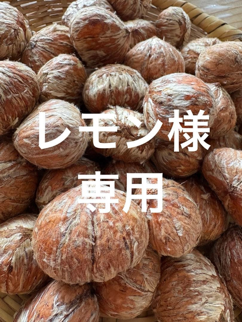 小布施栗　特大　剥き栗