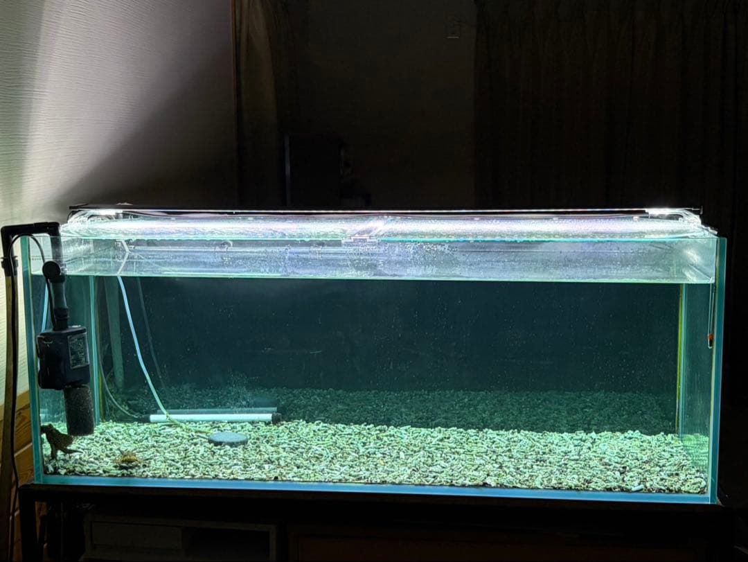水槽 120cm×45cm×45cm ガラス 外部フィルター LEDライト台付き