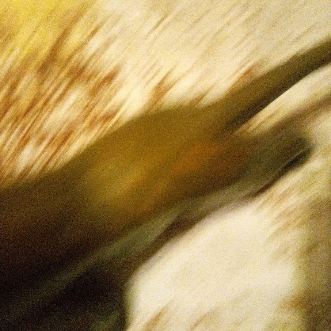 鉄ブロンズライオンの彫刻 約55cm