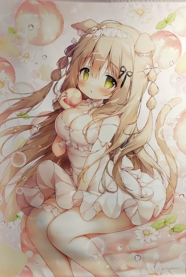 桃豆こまもち　代理ちゃん　B2タペストリー　BW2025