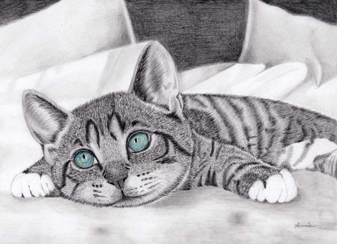 鉛筆画「Nap time」　B5大サイズ