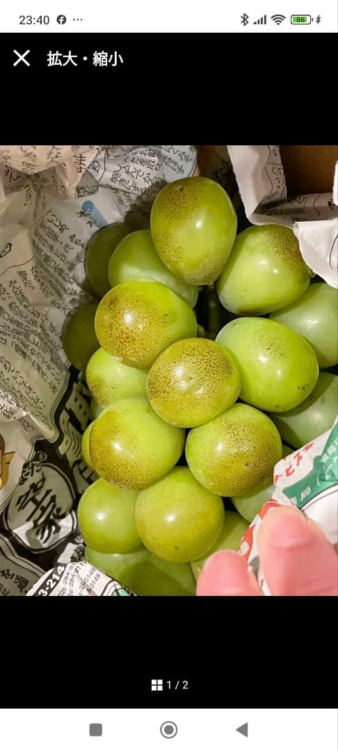 パリパリ大粒のシャインマスカット　極甘