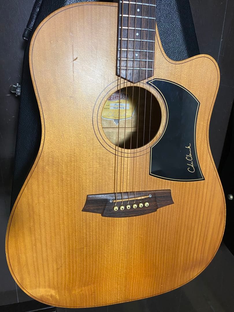 アコースティックギター　cole clark